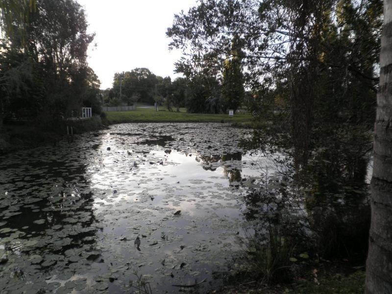 15 Obi Obi Road, Mapleton QLD 4560