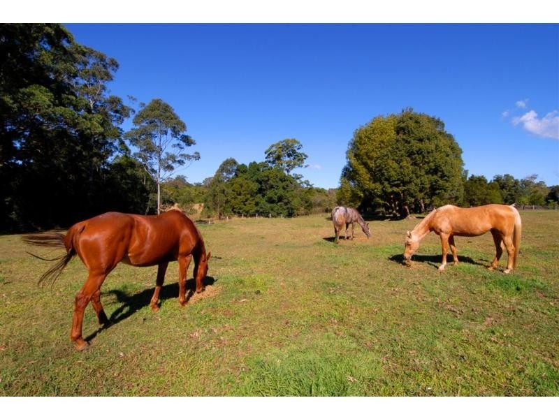 72 Willandra Place, Kureelpa QLD 4560