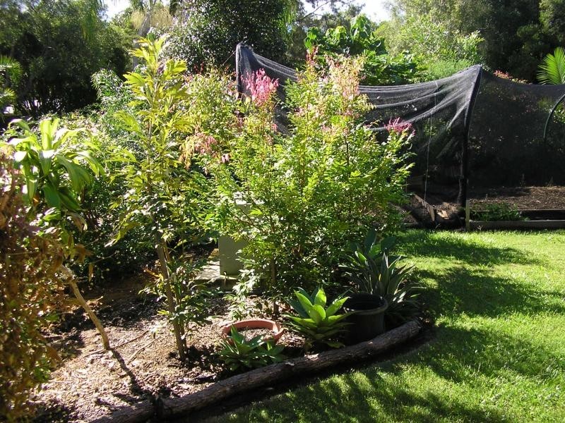 11 Wandoo Court, Mapleton QLD 4560