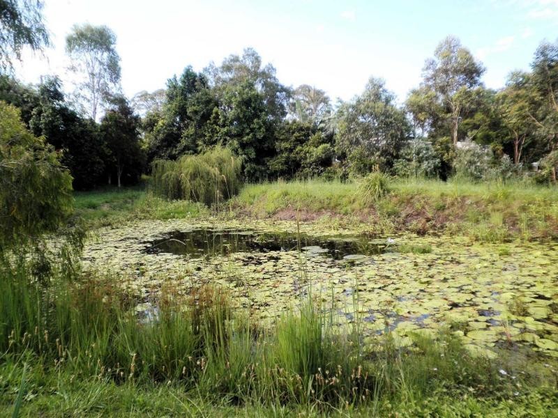 15 Jewett Road, Kureelpa QLD 4560