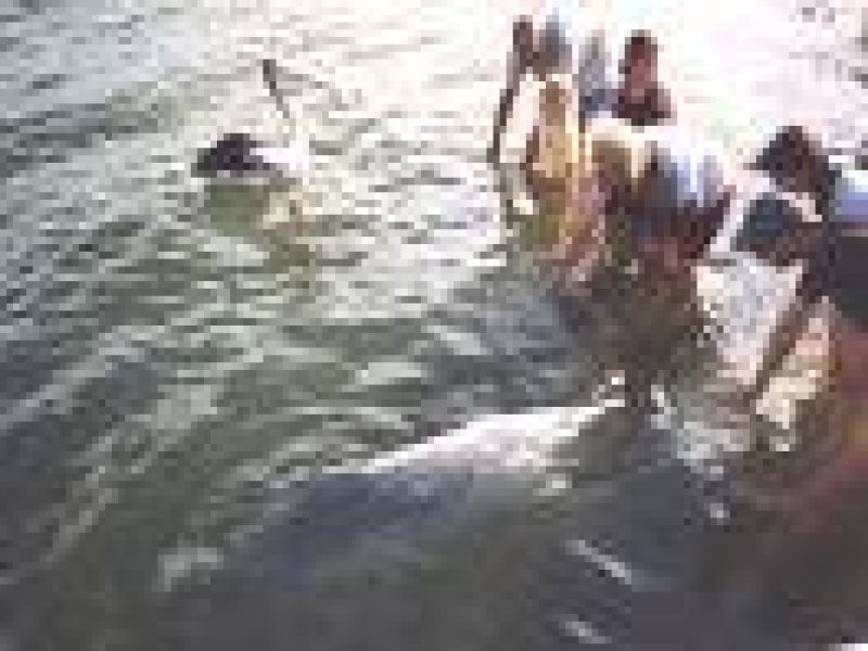 Tin Can Bay QLD 4580