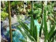 Cooloola Cove QLD 4580