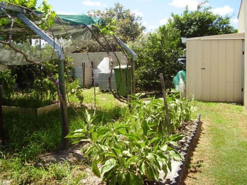 63 Marco Polo Drive, Cooloola Cove QLD 4580