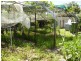 63 Marco Polo Drive, Cooloola Cove QLD 4580