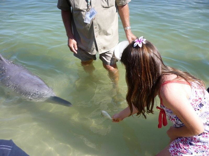 83 Golden Hind Avenue, Cooloola Cove QLD 4580