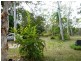 9 Cerebus Court, Cooloola Cove QLD 4580