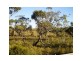 57 Summer Way, Tin Can Bay QLD 4580
