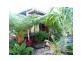 21 Fyshburn Drive, Cooloola Cove QLD 4580
