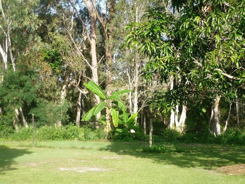 29 Tom Thumb Court, Cooloola Cove QLD 4580