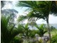 Tin Can Bay QLD 4580