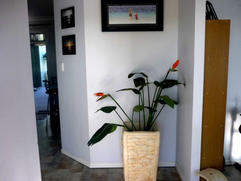 Cooloola Cove QLD 4580