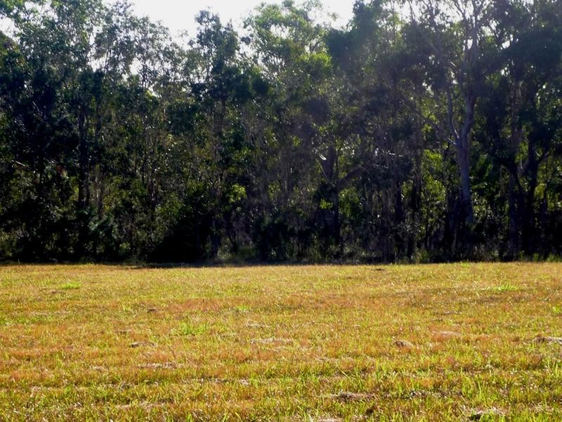 92 Endeavour Drive, Cooloola Cove QLD 4580