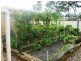 Poona QLD 4650