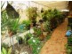 Poona QLD 4650