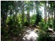 Cooloola Cove QLD 4580