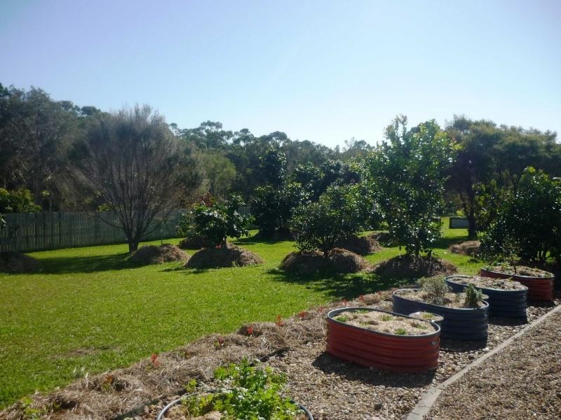 11 Investigator Avenue, Cooloola Cove QLD 4580