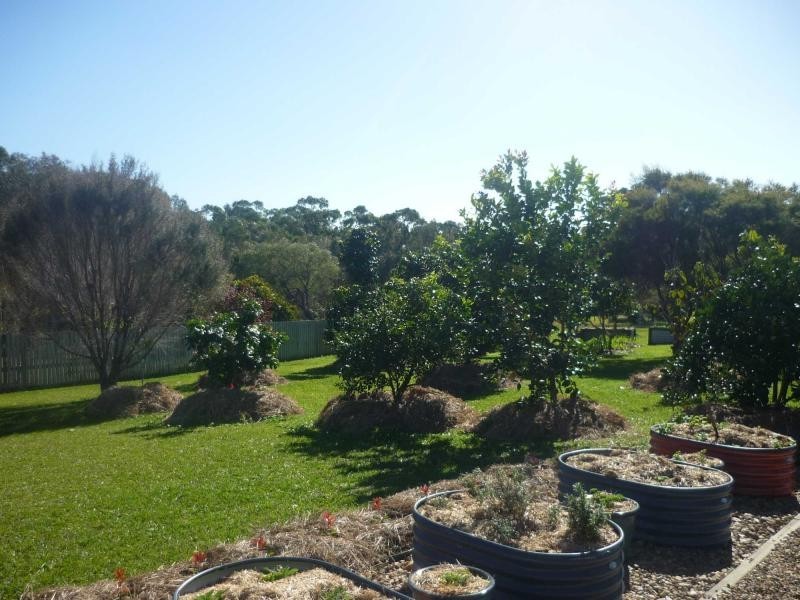 11 Investigator Avenue, Cooloola Cove QLD 4580