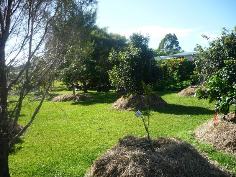 11 Investigator Avenue, Cooloola Cove QLD 4580