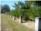 Cooloola Cove QLD 4580