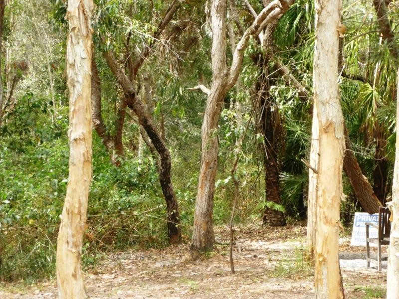 Cooloola Cove QLD 4580