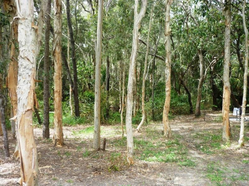 Cooloola Cove QLD 4580