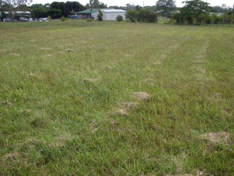 Cooloola Cove QLD 4580