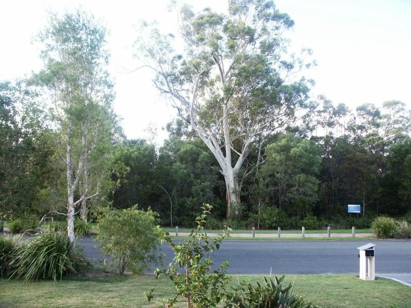 14 Creekside Esplanade, Cooloola Cove QLD 4580