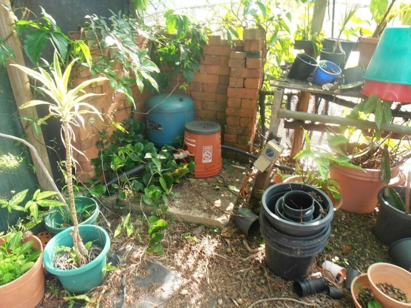 40 Mauretania Avenue, Cooloola Cove QLD 4580