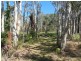 20 Investigator Avenue, Cooloola Cove QLD 4580