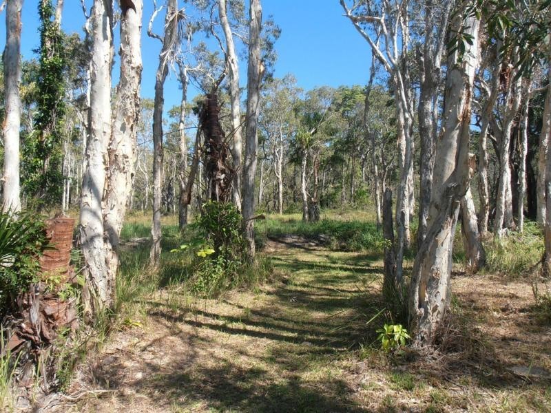 20 Investigator Avenue, Cooloola Cove QLD 4580