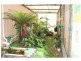 64 Nautilus Drive, Cooloola Cove QLD 4580