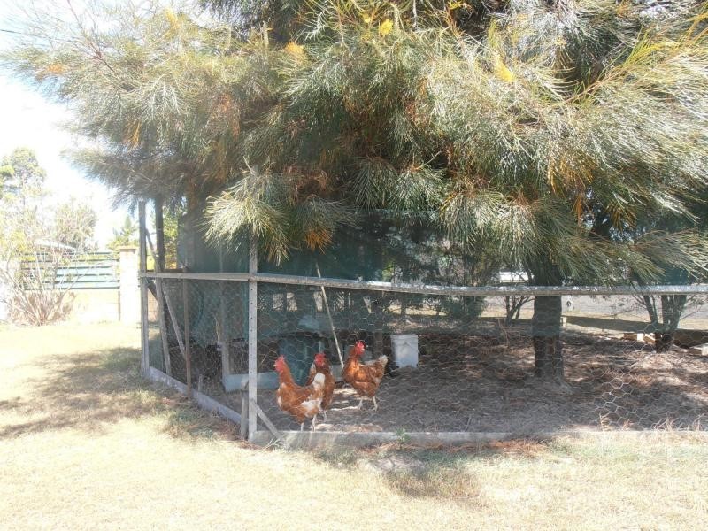 4 Duchess Court, Cooloola Cove QLD 4580