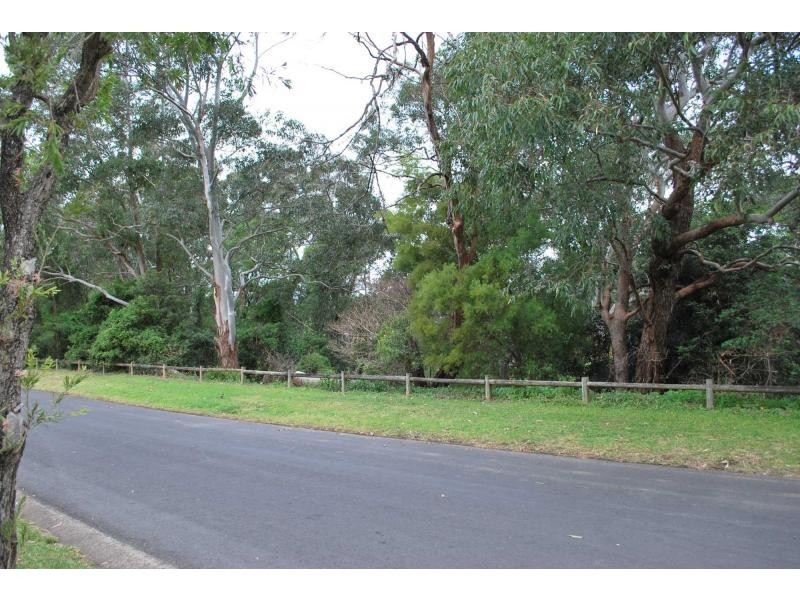 43 Moffatts Drive, Telopea NSW 2117