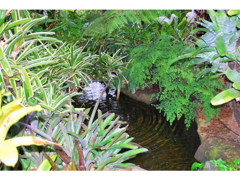 6 Adrian Court, Carlingford NSW 2118