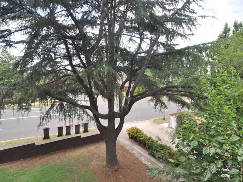 2/342 Marsden Road, Carlingford NSW 2118