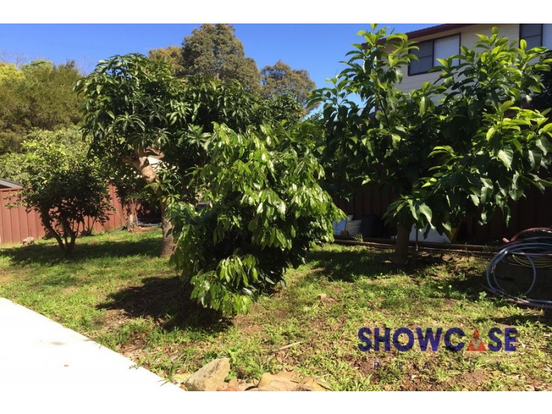 5A Tiernan Ave, North Rocks NSW 2151