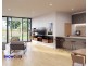 17 Fullarton St, Telopea NSW 2117