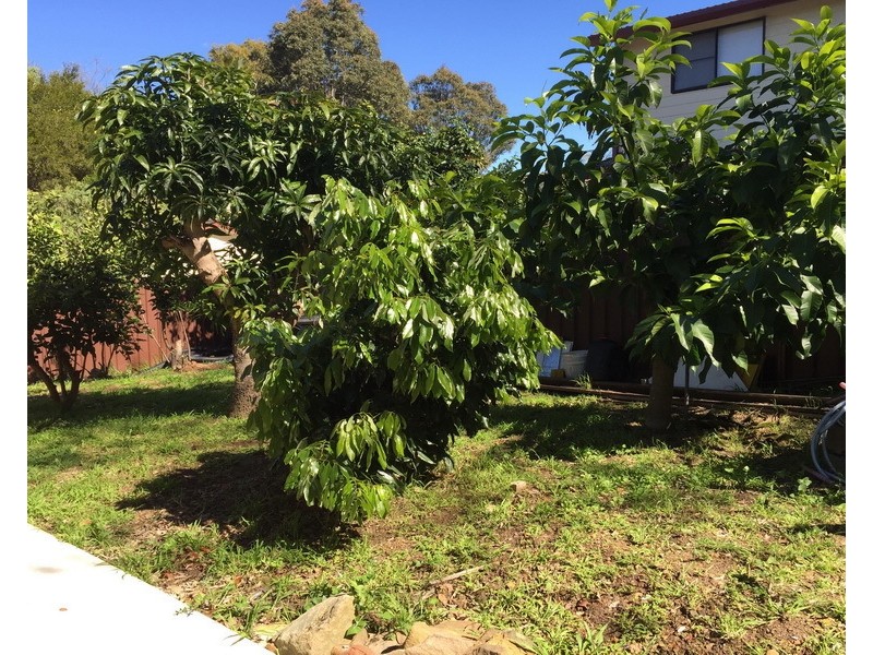 5A Tiernan Ave, North Rocks NSW 2151