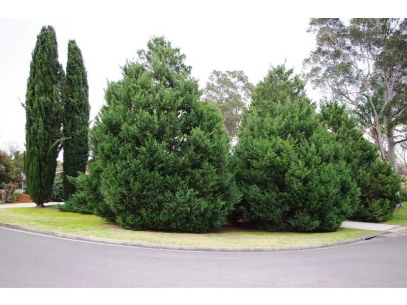 2 Araluen Place, Camden South NSW 2570
