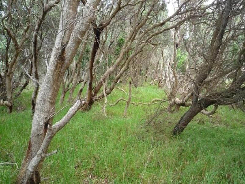 East Wardell NSW 2477