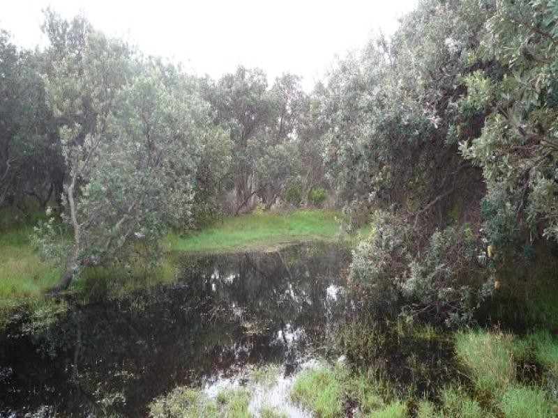 East Wardell NSW 2477