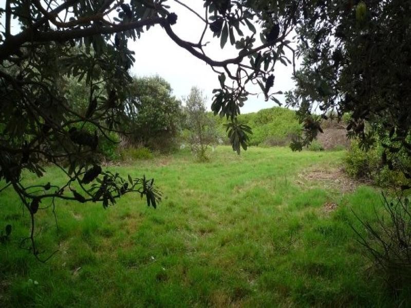 East Wardell NSW 2477