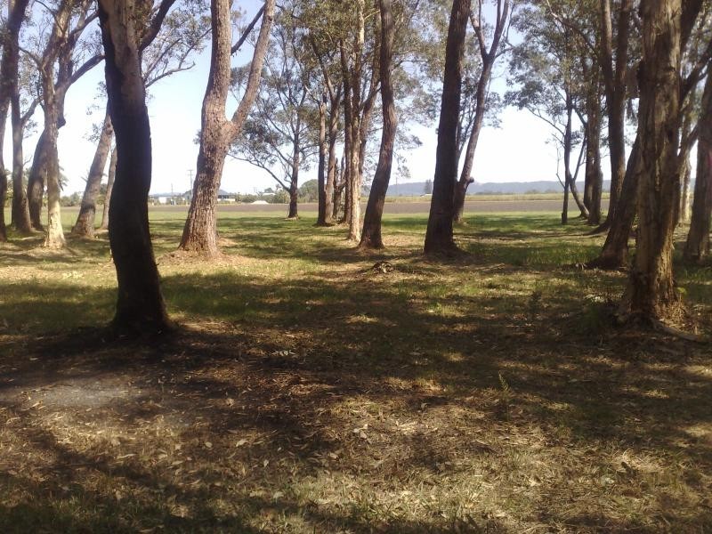 South Ballina NSW 2478