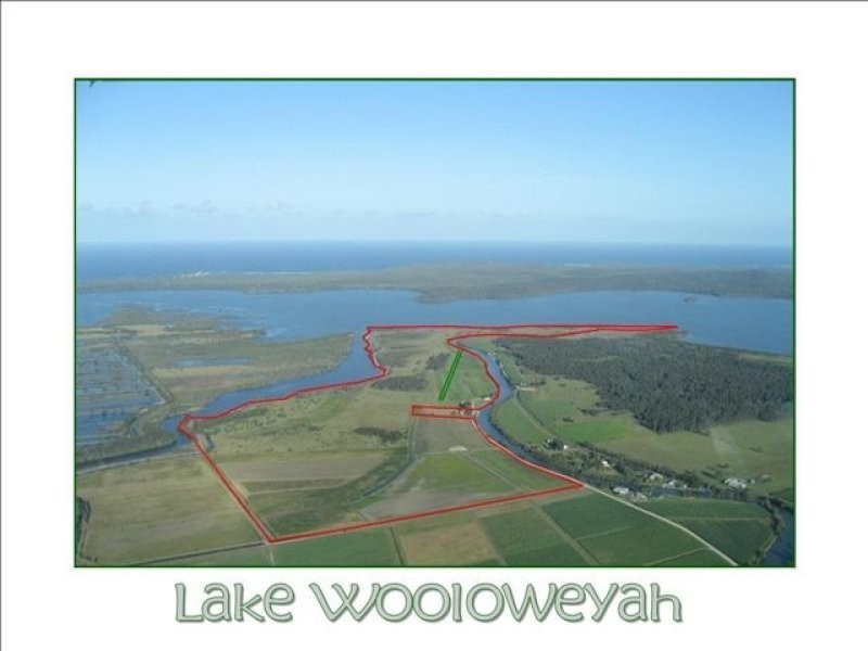 Palmers Island NSW 2463