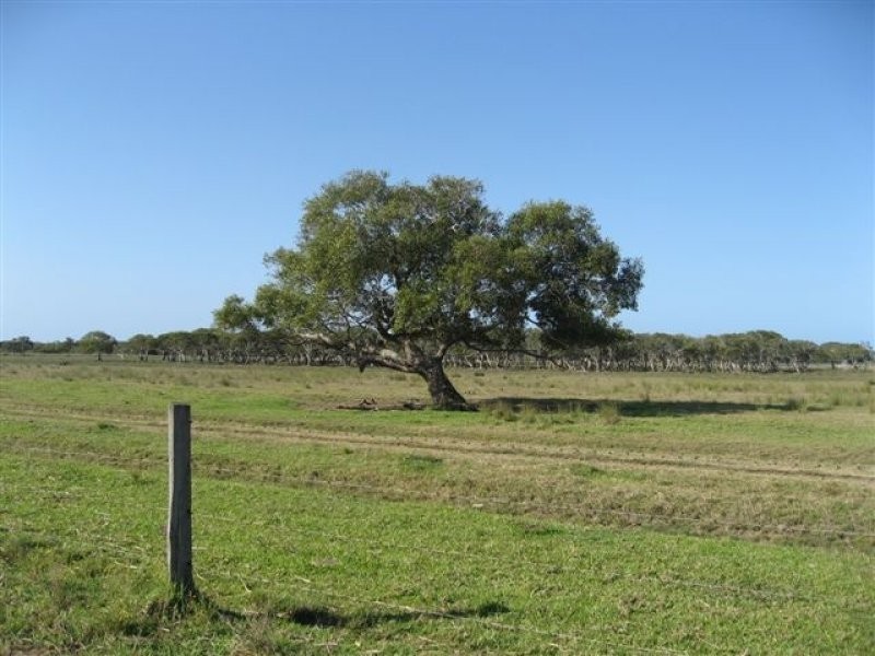 Palmers Island NSW 2463