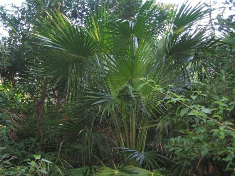 320 Moylans Lane, Empire Vale NSW 2478