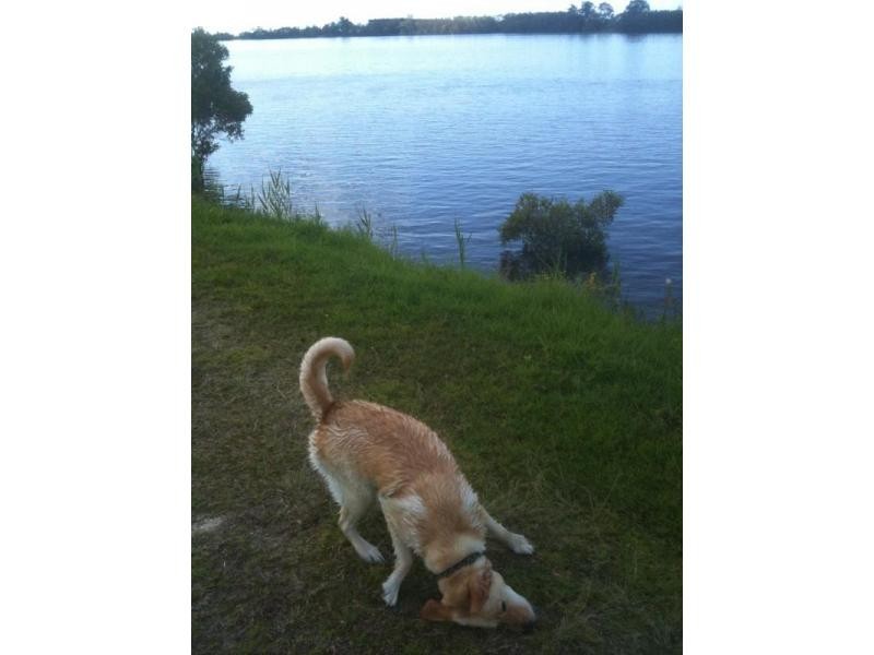 Lot 10 Pimlico Road, Wardell NSW 2477