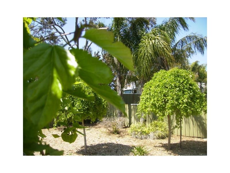 2 Eucalpyt Drive, Gawler East SA 5118