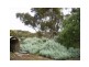 Lot 2 Main Road, Point Pass SA 5374