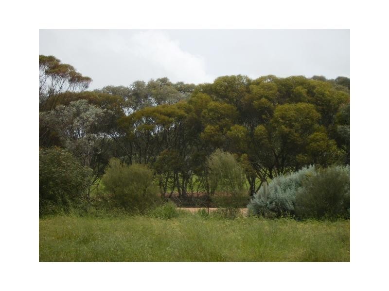 Lot 2 Main Road, Point Pass SA 5374
